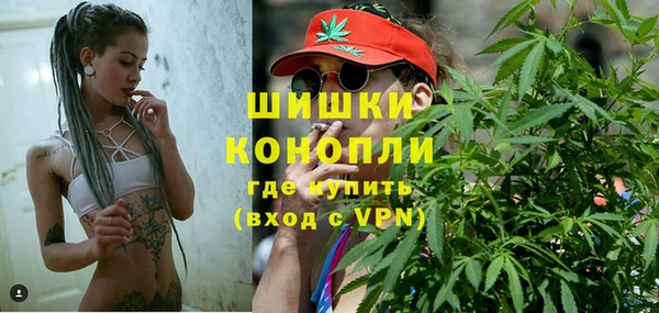 метадон Вяземский