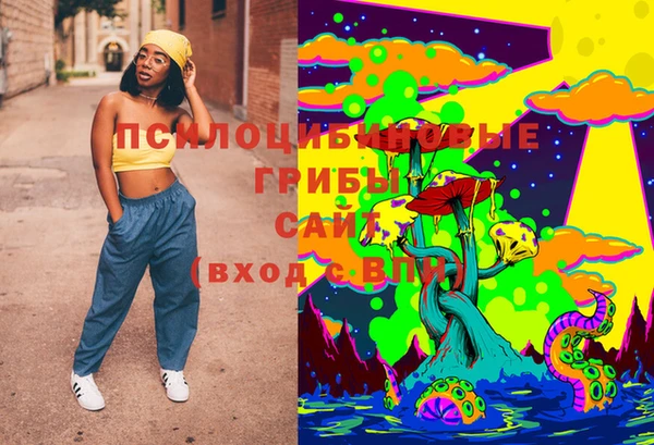 метадон Вяземский